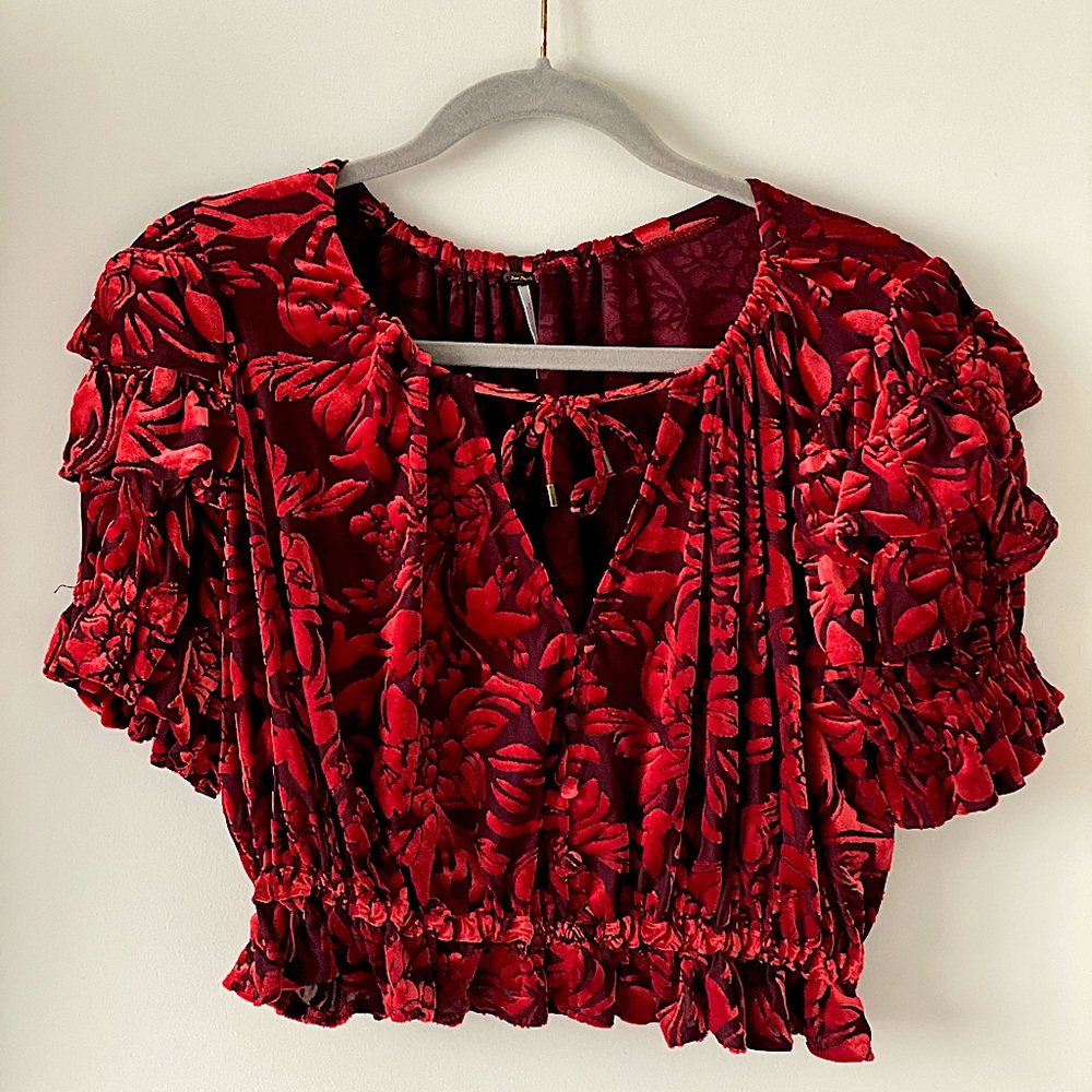 Free People Velvet Flower Embroidered Crop Top